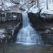 Franklin Morgan Photo 5