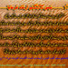 Muhammad Sultan Photo 39