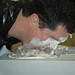 Christopher Dugger Photo 22