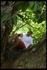 David Scherer Photo 37