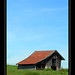 Bruce Low Photo 6