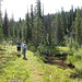 Cindy Priest Photo 24