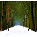 Lane Freund Photo 5