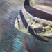 Michael Motes Photo 28