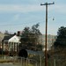 Carl Elkins Photo 8