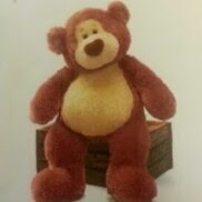 King Cheng Photo 23
