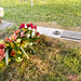 Kathleen Talley Photo 16
