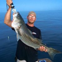 Steven Pickering Photo 18