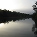 Dawn Roper Photo 14