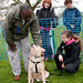 Robert Mayhew Photo 31