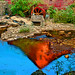 Rex Mills Photo 13