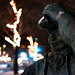 James Mcgill Photo 15