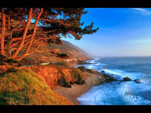 Linda Choi Photo 29