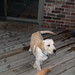Meredith Murphy Photo 21