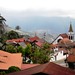 German Tovar Photo 19