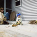 Sean Stoddard Photo 15