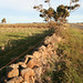 Edgar Stone Photo 13