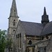 Anne Gough Photo 17