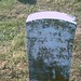 William Crowe Photo 23