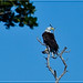 Rob Dodson Photo 22