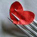 Stephen Loveless Photo 25