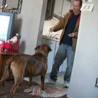 Alan Kline Photo 15