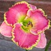 Leslie Bloom Photo 34