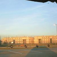 James Allred Photo 15