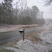 James Blankenship Photo 27