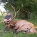 David Kautz Photo 33