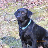 Bobbie Chapman Photo 12