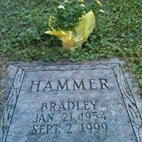 Stephen Hammer Photo 30