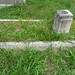 Howard Graves Photo 32