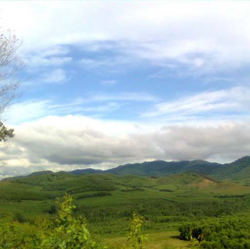Thang Doan Photo 17
