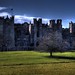 Richard Raby Photo 12
