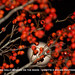 Annette Berry Photo 19