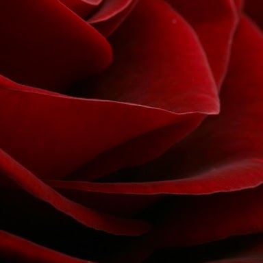 Bhavesh Virani Photo 18