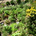 Susan Parsley Photo 15