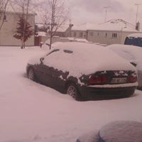 Albert Parker Photo 37