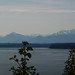 Carey Miller Photo 42