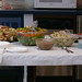Tonya Lewis Photo 38