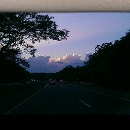Ronald Yancey Photo 8