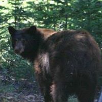 Jim Workman Photo 24