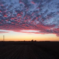Wayne Myers Photo 28