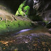 Dennis Karst Photo 7