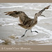 Crystal Sandy Photo 12
