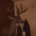 Rene Hunt Photo 13