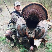 Mark Boyer Photo 16