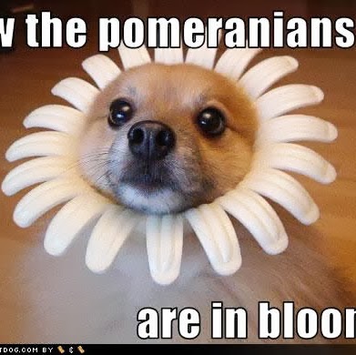 Sheryl Graham Photo 16