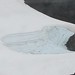 Julie Juneau Photo 12